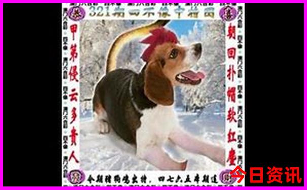 绵阳罗浮山风景区旅游攻略一日游